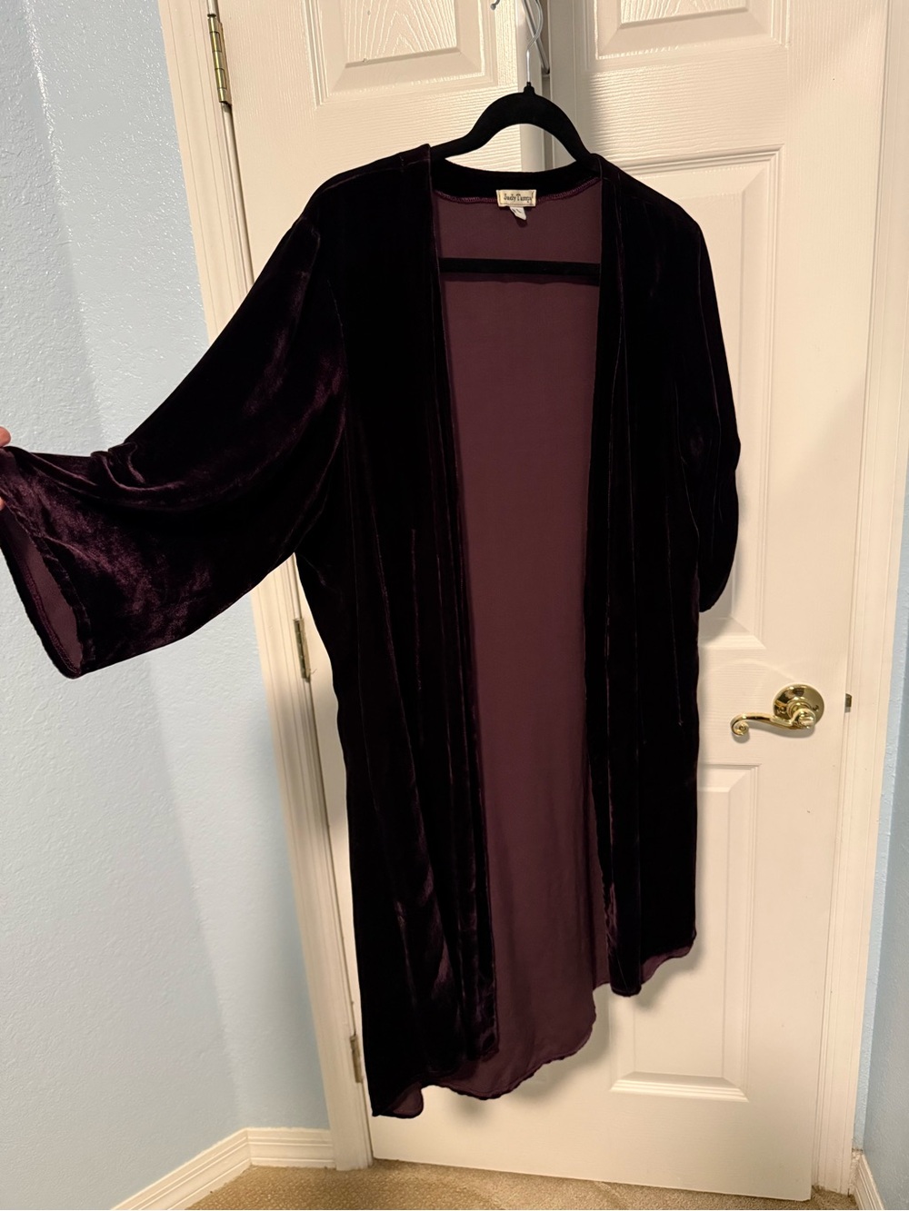 Judy Tampa purple velvet duster